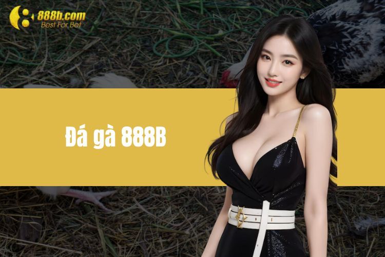 Đá Gà 888B - Đầu Trường Của Chiến Kê Đẳng Cấp Thế Giới 