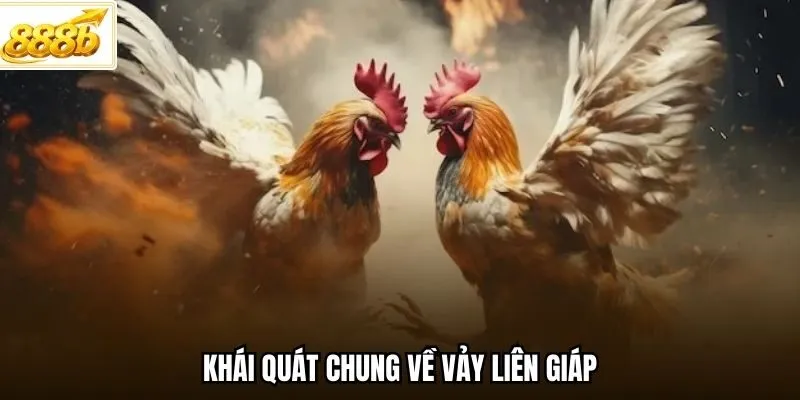 Khái quát chung về vảy Liên Giáp