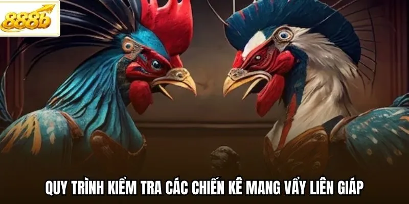 Quy trình kiểm tra các chiến kê mang vẩy liên giáp