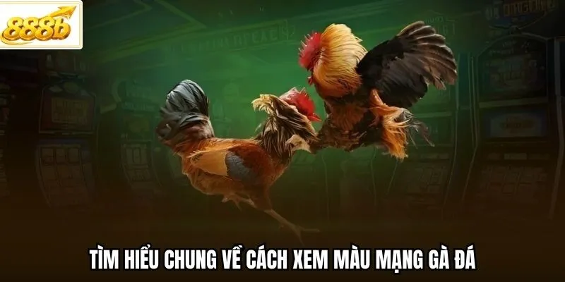 Tìm hiểu chung về cách xem màu mạng gà đá